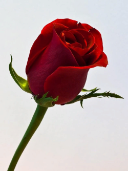 1618140975208.png