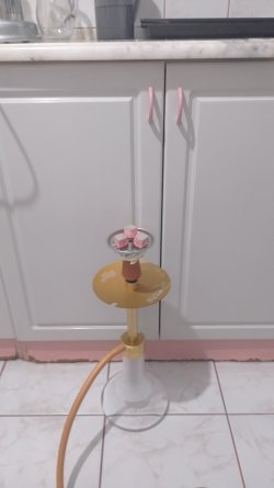 IMG-20210304-WA0001.jpeg