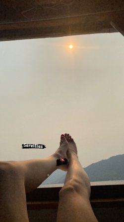 8DEB8949-607B-4E56-ADD6-B01BC53143CA.jpeg
