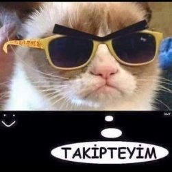 Takipteyim.jpg