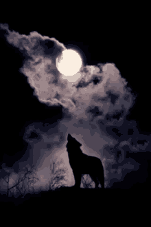 moon-wolf.gif