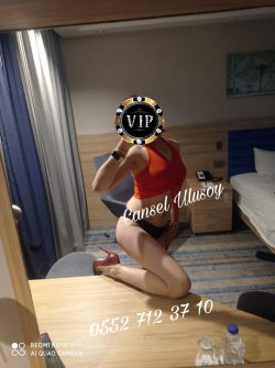 Picsart_23-03-31_18-38-44-953.jpg