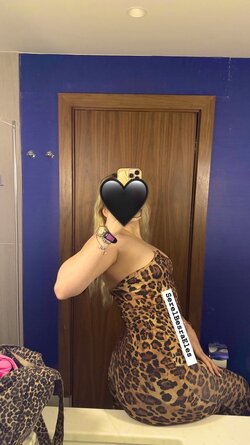 IMG_3186.jpeg