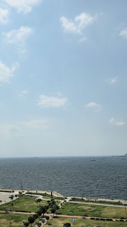 20250802_143730_optimized_1000.jpg 20250802_143730_optimized_1000.jpg