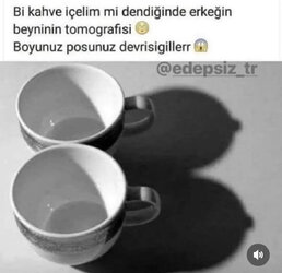 IMG_2897.jpeg