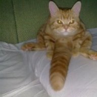 nimlok